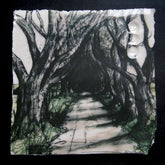 Memories - Dark Hedges